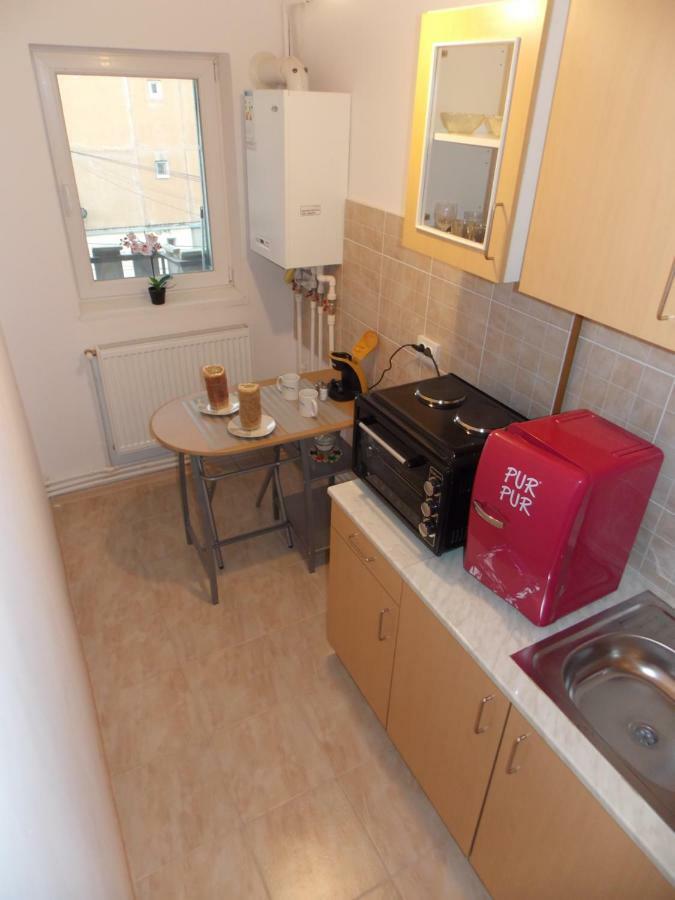 Morningstar Apartment Sfantu Gheorghe  Exterior photo